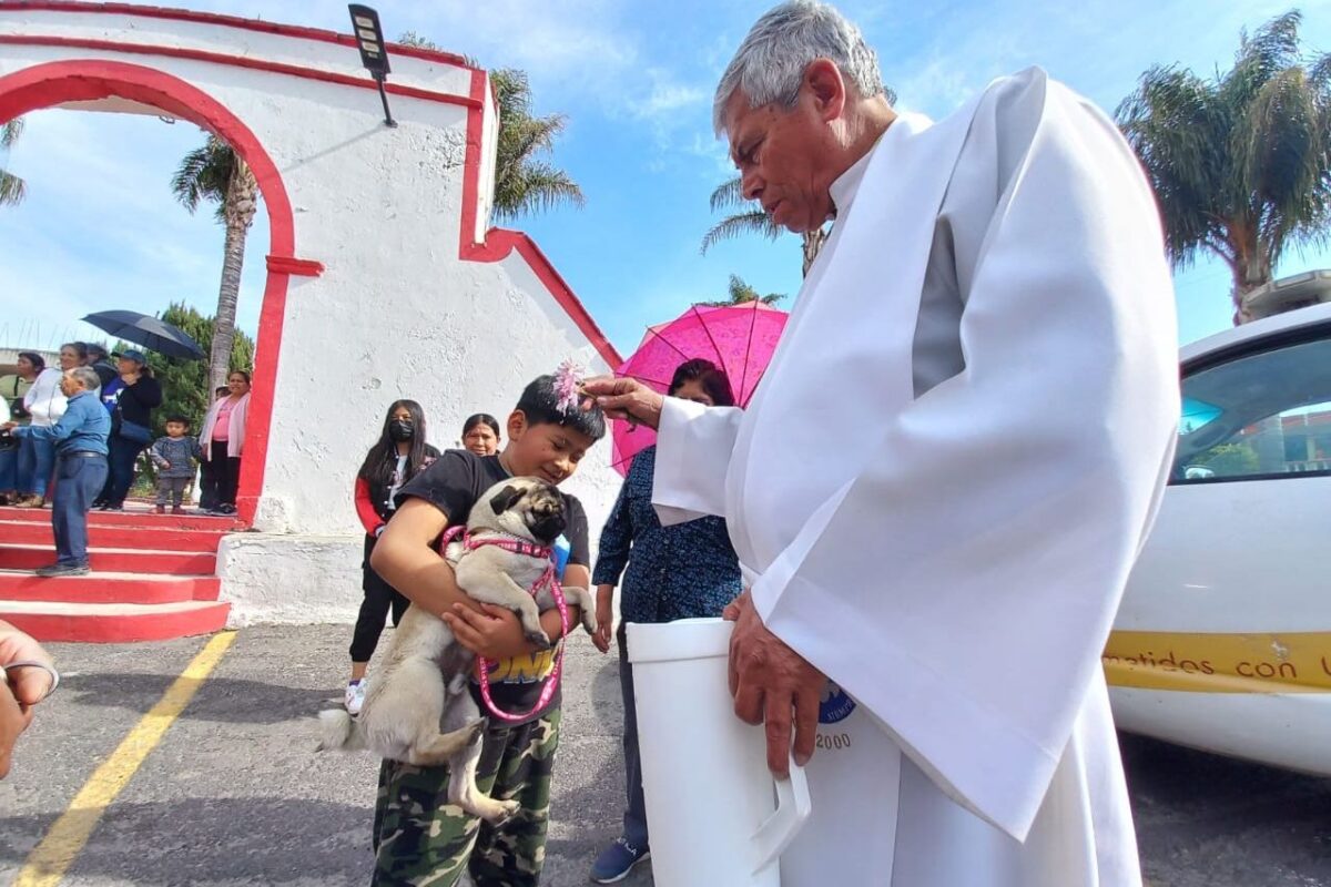 Feligreses llevan a sus mascotas esta tarde a la parroquia de San Pedro Tlalcuapan