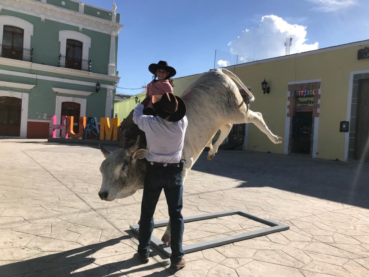 Un toro manso en posición de “reparo”