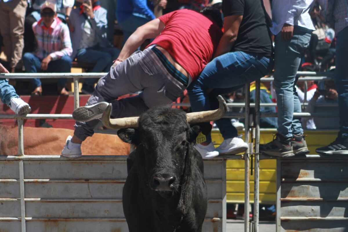 Turistas y locales asistieron está mañana a la edición 70 de la tradicional Huamantlada